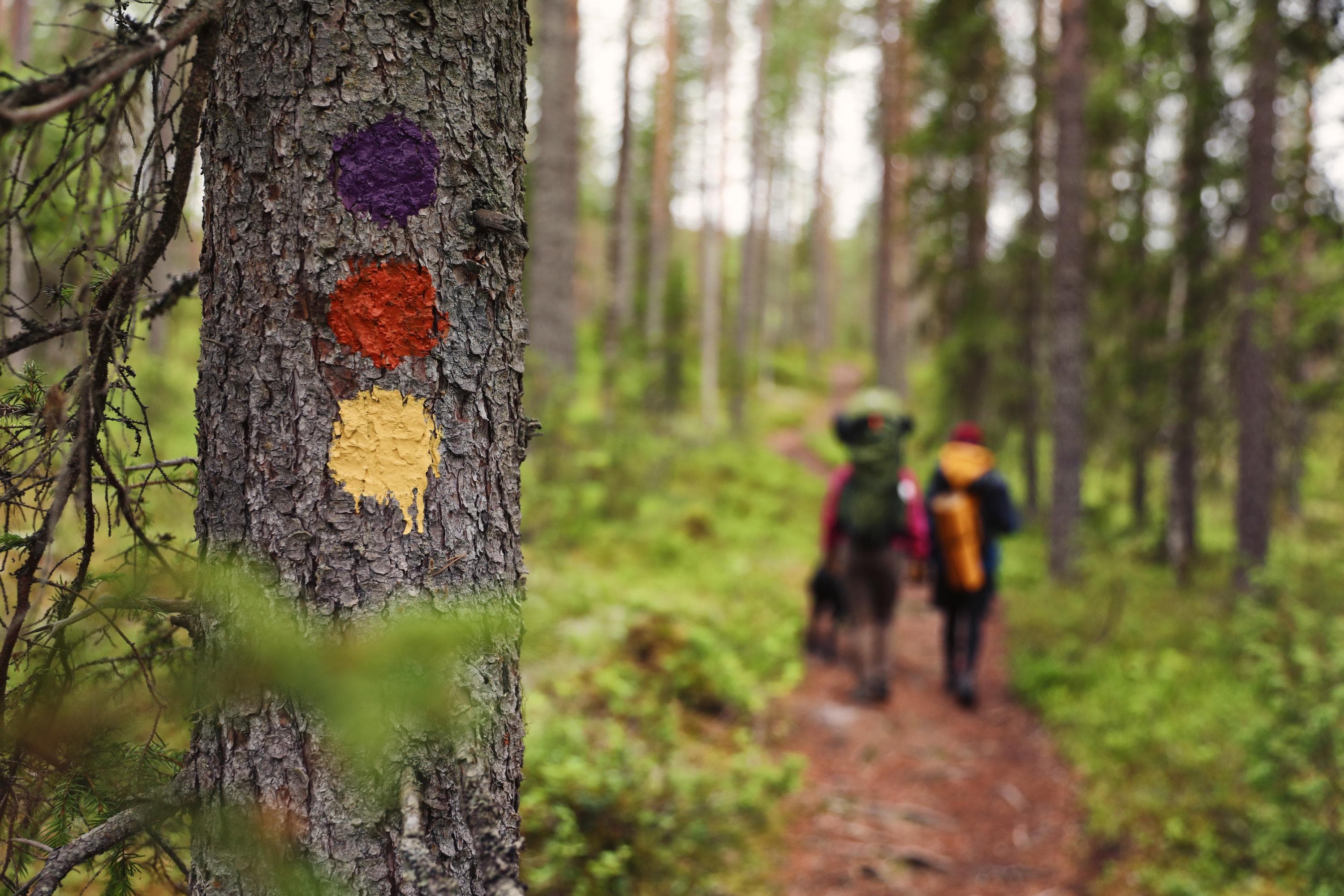 Kuva: Harri Tarvainen